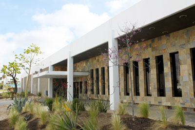 front entrance landscaping